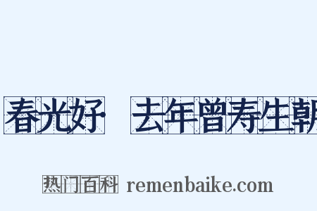 春光好·去年曾寿生朝是什么意思的图片